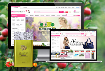 ���ͳ������̳�