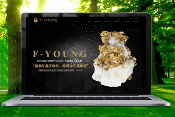 ���͸������ﱦʯ